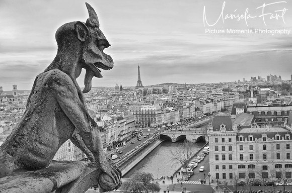 Paris Picture Moments Photography | Marisela Fant | Wall Art and Prints
