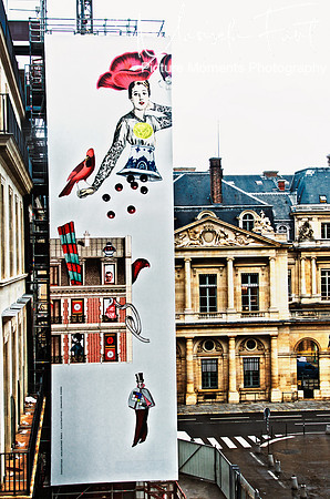 Picture Moments Photography | Marisela Fant | Wall Art and Prints
