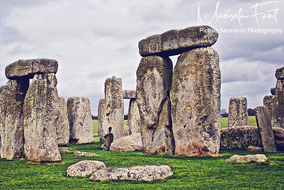 Picture Moments Photography | Marisela Fant | Wall Art and Prints