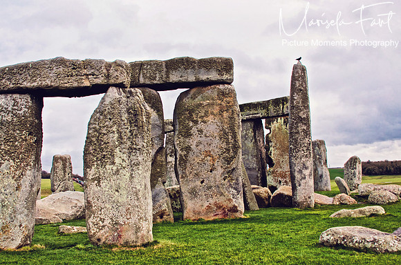 Picture Moments Photography | Marisela Fant | Wall Art and Prints