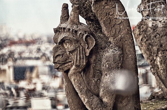Paris Picture Moments Photography | Marisela Fant | Wall Art and Prints