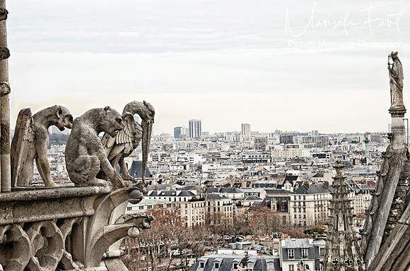 Paris Picture Moments Photography | Marisela Fant | Wall Art and Prints