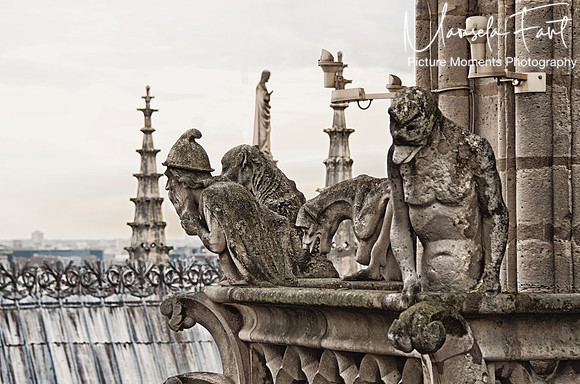 Paris Picture Moments Photography | Marisela Fant | Wall Art and Prints