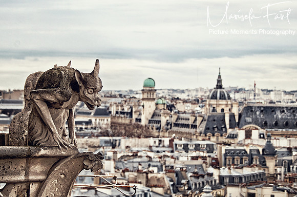 Paris Picture Moments Photography | Marisela Fant | Wall Art and Prints