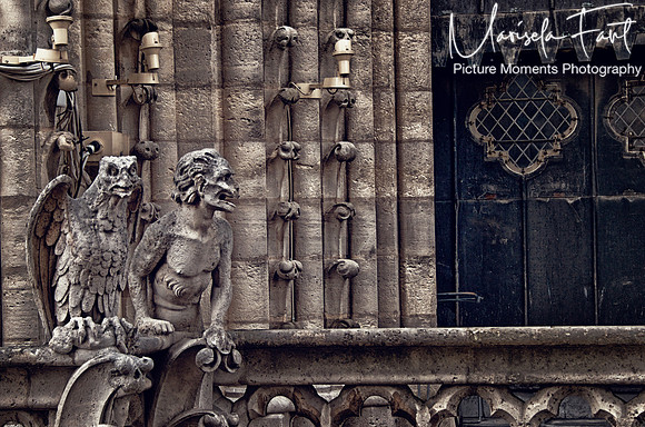 Picture Moments Photography | Marisela Fant | Wall Art and Prints
