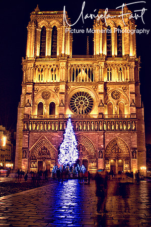 Paris Nortradam Picture Moments Photography | Marisela Fant | Wall Art and Prints