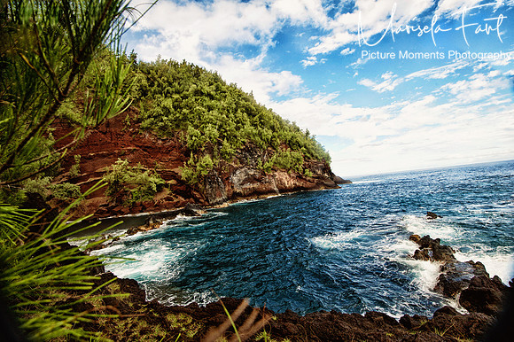 Picture Moments Photography | Marisela Fant | Wall Art and Prints