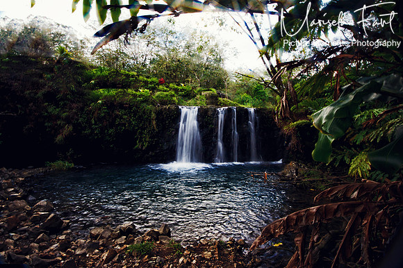 Picture Moments Photography | Marisela Fant | Wall Art and Prints