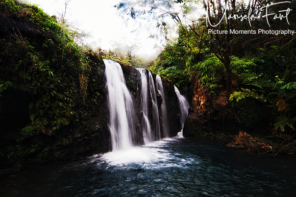 Picture Moments Photography | Marisela Fant | Wall Art and Prints