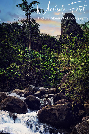 Picture Moments Photography | Marisela Fant | Wall Art and Prints