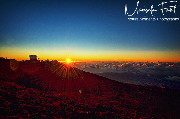 Picture Moments Photography | Marisela Fant | Wall Art and Prints