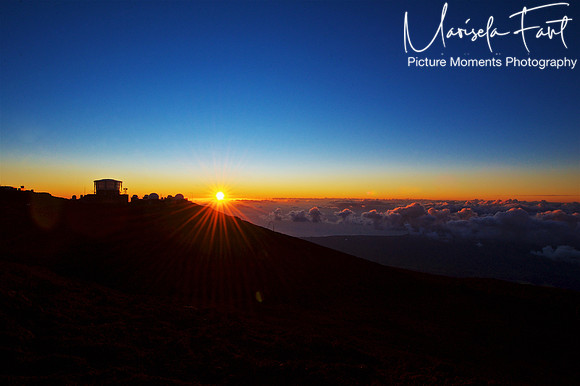 Picture Moments Photography | Marisela Fant | Wall Art and Prints