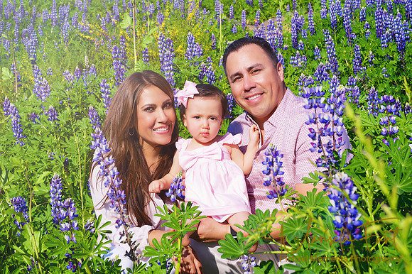Picture Moments Photography | Marisela Fant | Family
