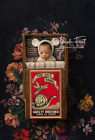 Picture Moments Photography | Marisela Fant | Digital Compositions