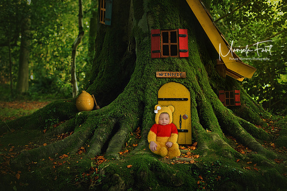 Picture Moments Photography | Marisela Fant | Digital Compositions