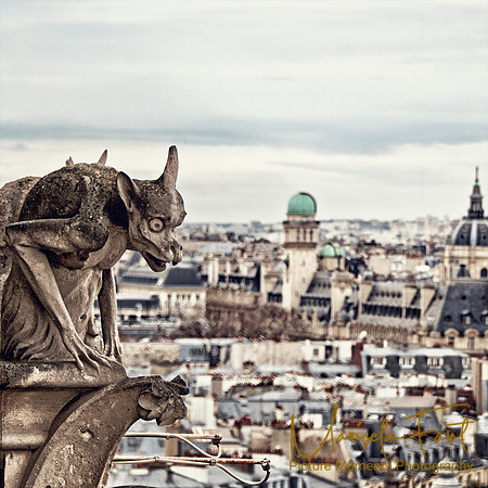 Paris View Picture Moments Photography | Marisela Fant | Wall Art and Prints