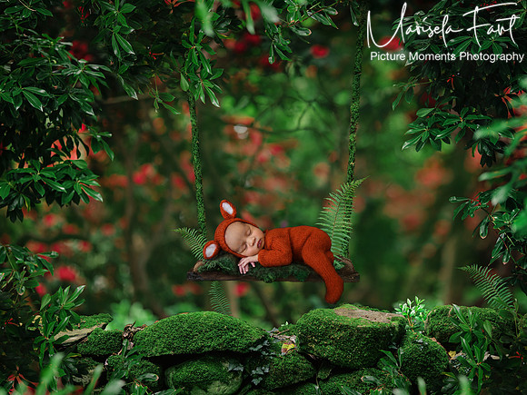 Picture Moments Photography | Marisela Fant | Digital Compositions
