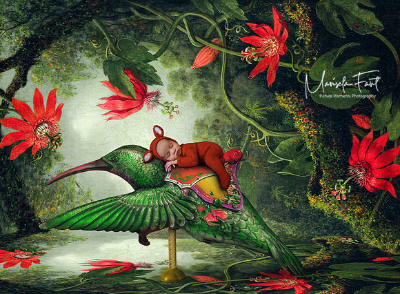 Picture Moments Photography | Marisela Fant | Digital Compositions