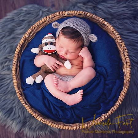 Picture Moments Photography | Marisela Fant | Newborn Gallery