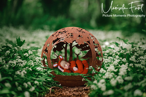Picture Moments Photography | Marisela Fant | Digital Compositions