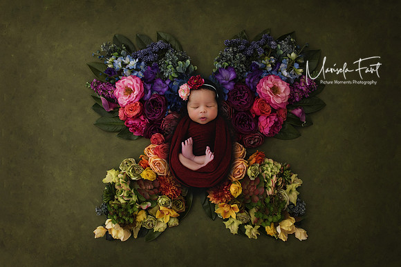 Picture Moments Photography | Marisela Fant | Digital Compositions