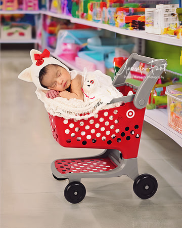 Picture Moments Photography | Marisela Fant | Digital Compositions Target Newborn setup 5
