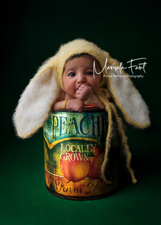 Picture Moments Photography | Marisela Fant | Digital Compositions