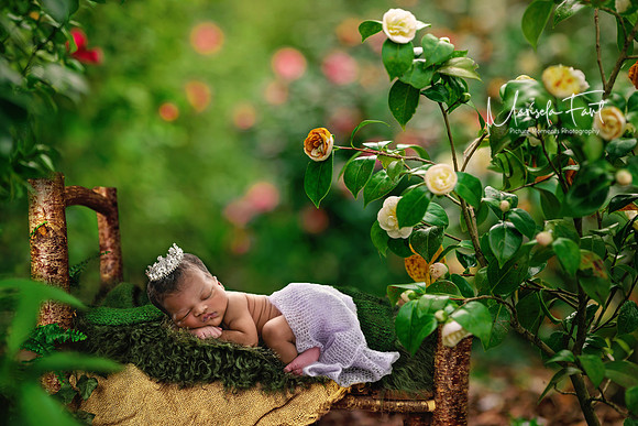Picture Moments Photography | Marisela Fant | Digital Compositions
