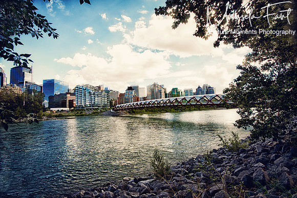 Canada Picture Moments Photography | Marisela Fant | Wall Art and Prints