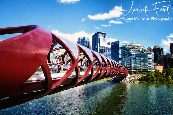 Picture Moments Photography | Marisela Fant | Wall Art and Prints