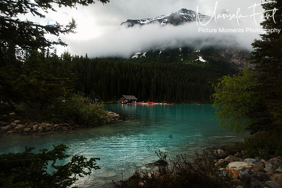 Picture Moments Photography | Marisela Fant | Wall Art and Prints