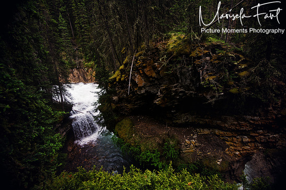 Picture Moments Photography | Marisela Fant | Wall Art and Prints