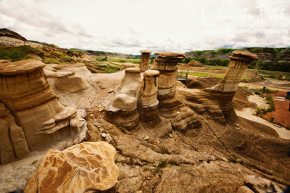Picture Moments Photography | Marisela Fant | Wall Art and Prints