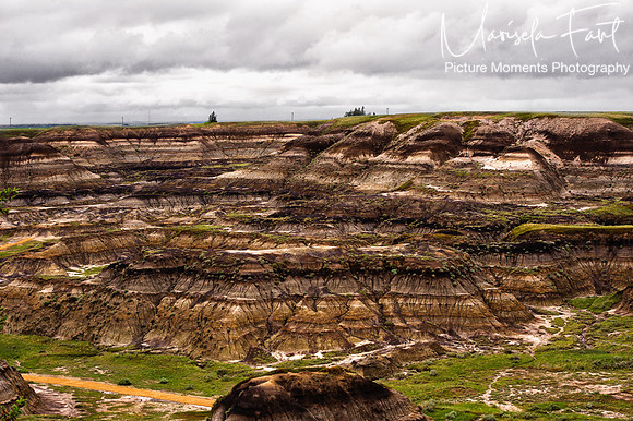 Picture Moments Photography | Marisela Fant | Wall Art and Prints