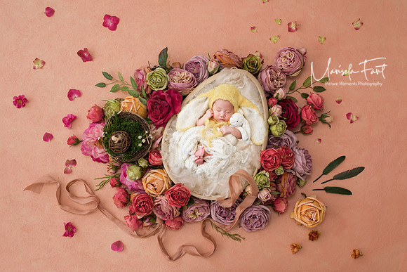 Picture Moments Photography | Marisela Fant | Digital Compositions