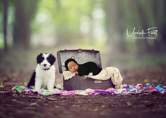 Picture Moments Photography | Marisela Fant | Digital Compositions