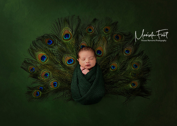 peacock composition with this baby boy.Picture Moments Photography | Marisela Fant | Digital Compositions