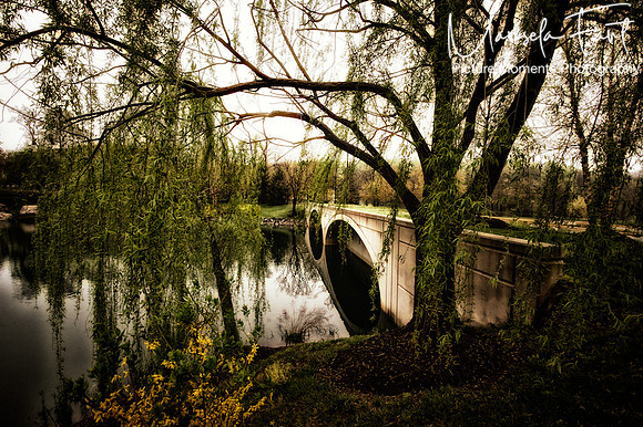 Picture Moments Photography | Marisela Fant | Wall Art and Prints