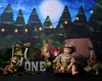 Picture Moments Photography | Marisela Fant | Children's Gallery Dinosaur Theme
