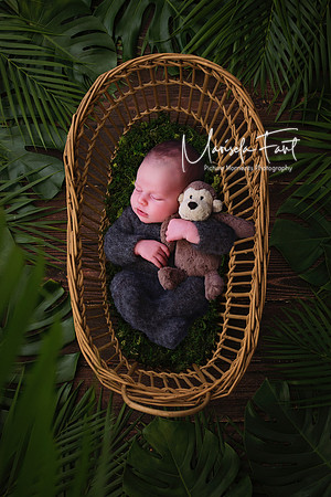 Picture Moments Photography | Marisela Fant | Digital Compositions