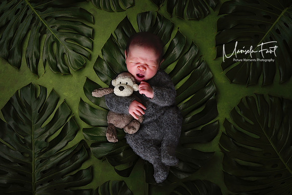 Picture Moments Photography | Marisela Fant | Digital Compositions