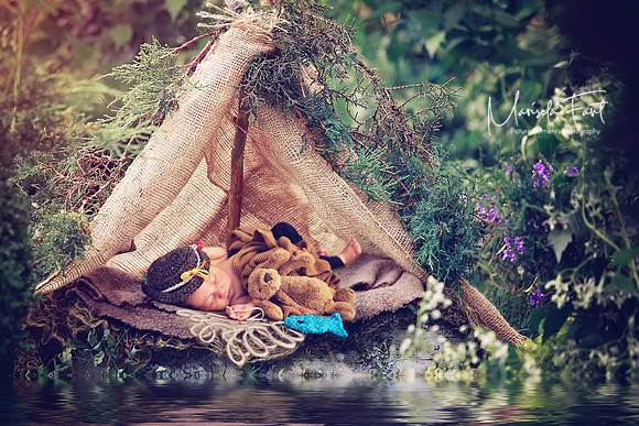 Picture Moments Photography | Marisela Fant | Digital Compositions