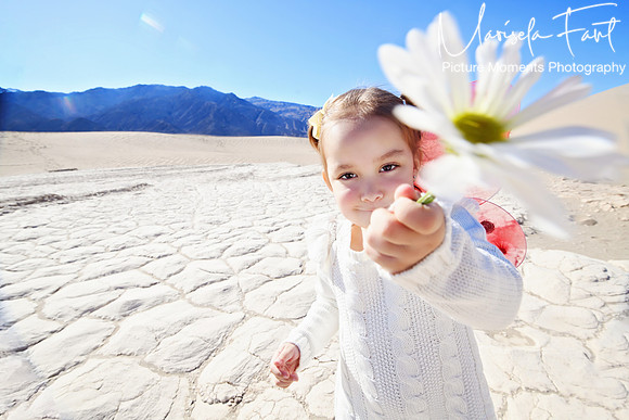 Picture Moments Photography | Marisela Fant | Wall Art and Prints