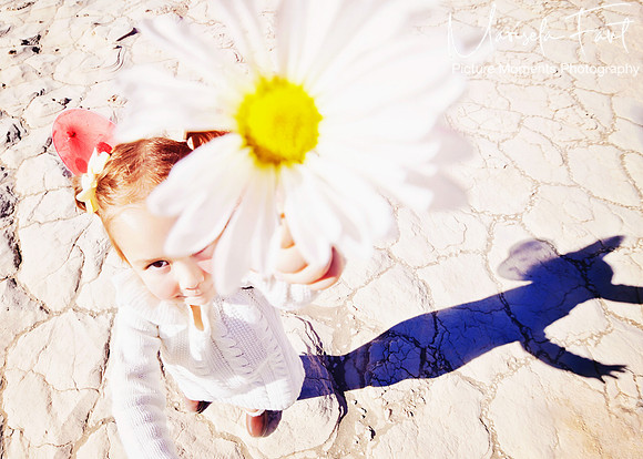 Picture Moments Photography | Marisela Fant | Wall Art and Prints