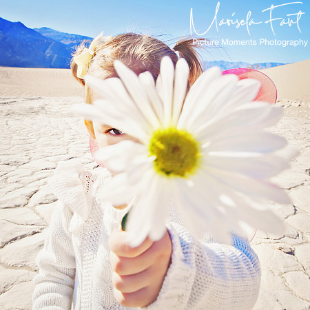 Picture Moments Photography | Marisela Fant | Wall Art and Prints