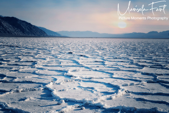 Picture Moments Photography | Marisela Fant | Wall Art and Prints