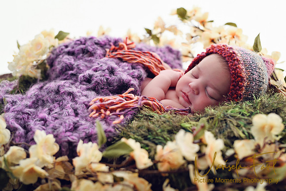 Picture Moments Photography | Marisela Fant | Newborn Gallery