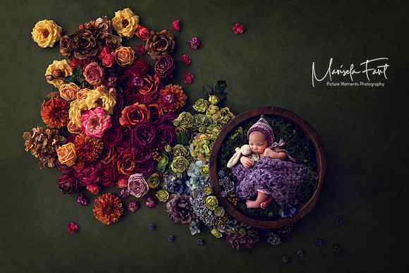 Picture Moments Photography | Marisela Fant | Digital Compositions