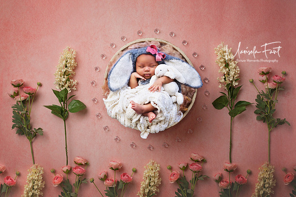 Picture Moments Photography | Marisela Fant | Digital Compositions