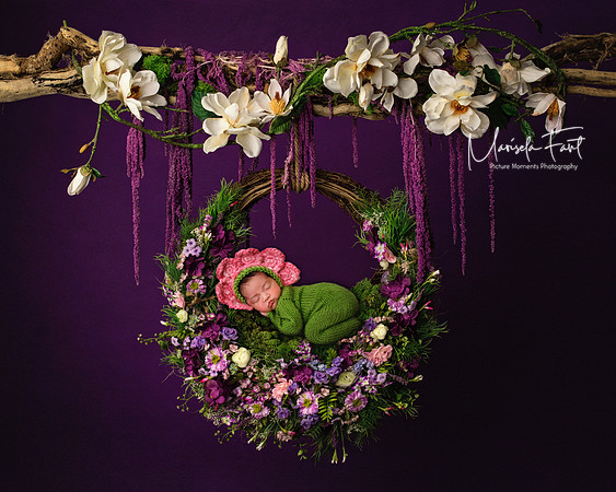 Picture Moments Photography | Marisela Fant | Digital Compositions
